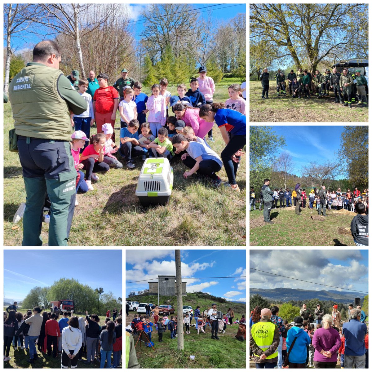 Aprafoga tweet media