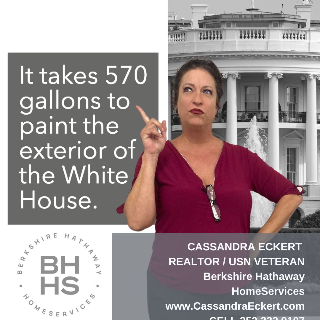 CassandraEckert's tweet image. Did you know this? 😮

#whitepaint   #paint   #exterior   #whitehouse