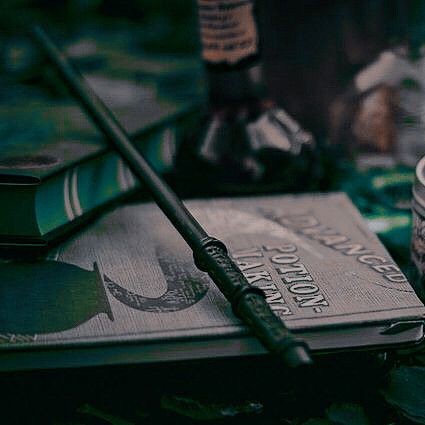 FELIZ DIA DEL ORGULLO SLYTHERIN
Felicitamos a nuestros queridos magos de la casa de Slytherin, aquellos ambiciosos y astutos que aportan tanto a nuestro querido mundo mágico 💚