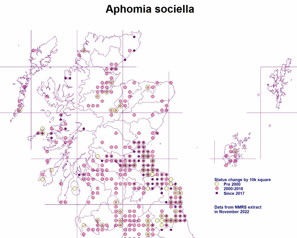The Scottish micro maps eastscotland-butterflies.org.uk/scottishmicros… now have maps showing distribution change
#mothsmatter
