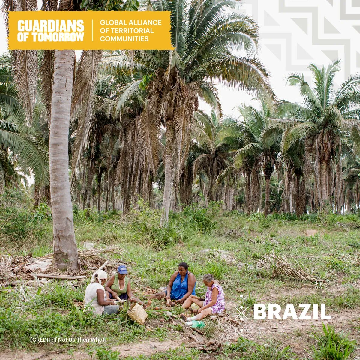 GofTomorrow's tweet photo. Our lives are linked to the forests.
They provide. 🥑
They purify. 🍃
They ensure the future of humanity. ✨

This #ForestDay 🌳, let's remember that Indigenous Peoples and local communities are the ones saving them against all odds. Raise your voice for the #GuardiansOfTomorrow! https://t.co/rd8xu4aAj0