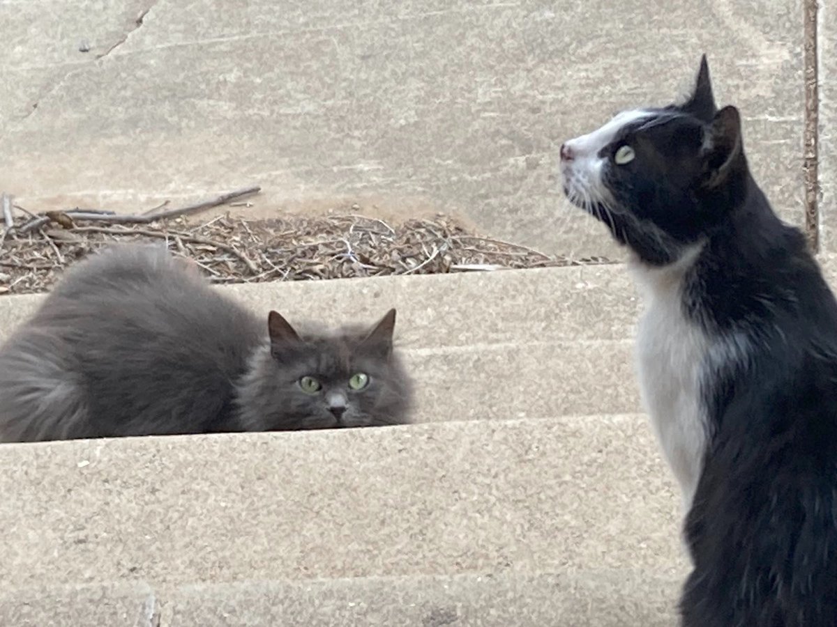 philosophy audiences i have known