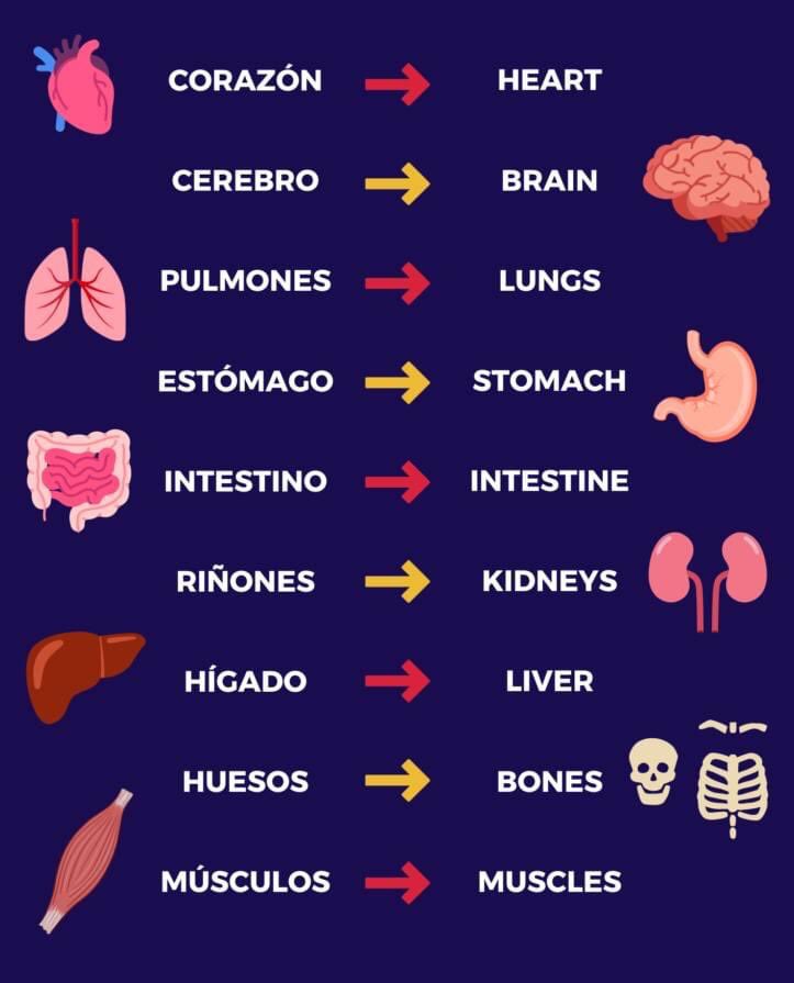 cryptoLordetz's tweet photo. Aprendamos un poco de inglés https://t.co/S7yfsHqvgJ