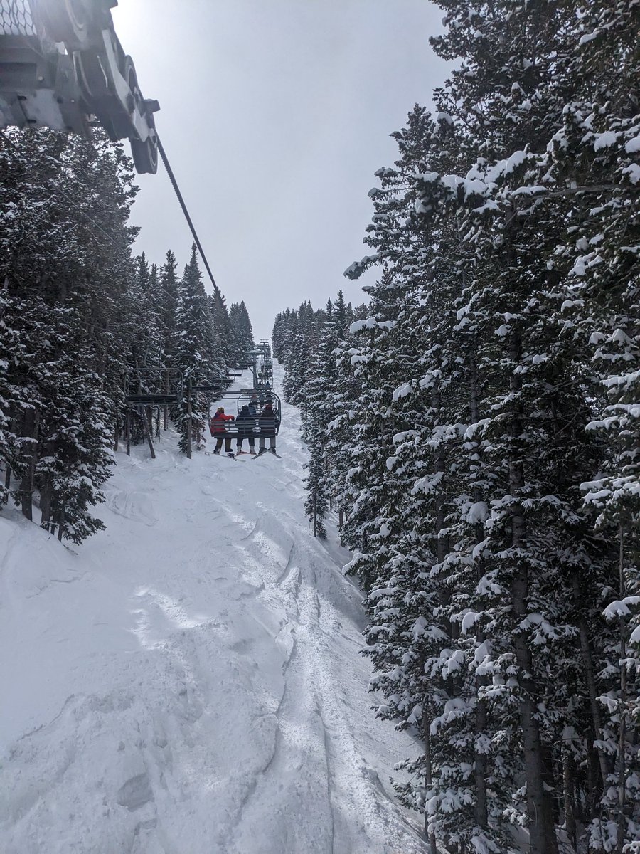 Jennifer Markfeld tweet media