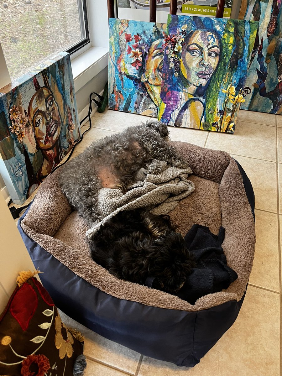 ArtofLynn's tweet photo. #dogs #studiodogs #studio #artiststudio #wishiwasthere #yorkie #shitpoo #contemporaryart #expressiveart #expressiveportrait #art #artistsontwitter https://t.co/24Vh6MUcFe