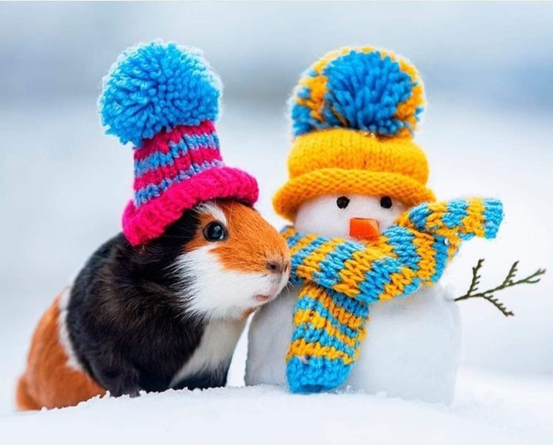 Mina Asaad (@minaassad13) on Twitter photo 