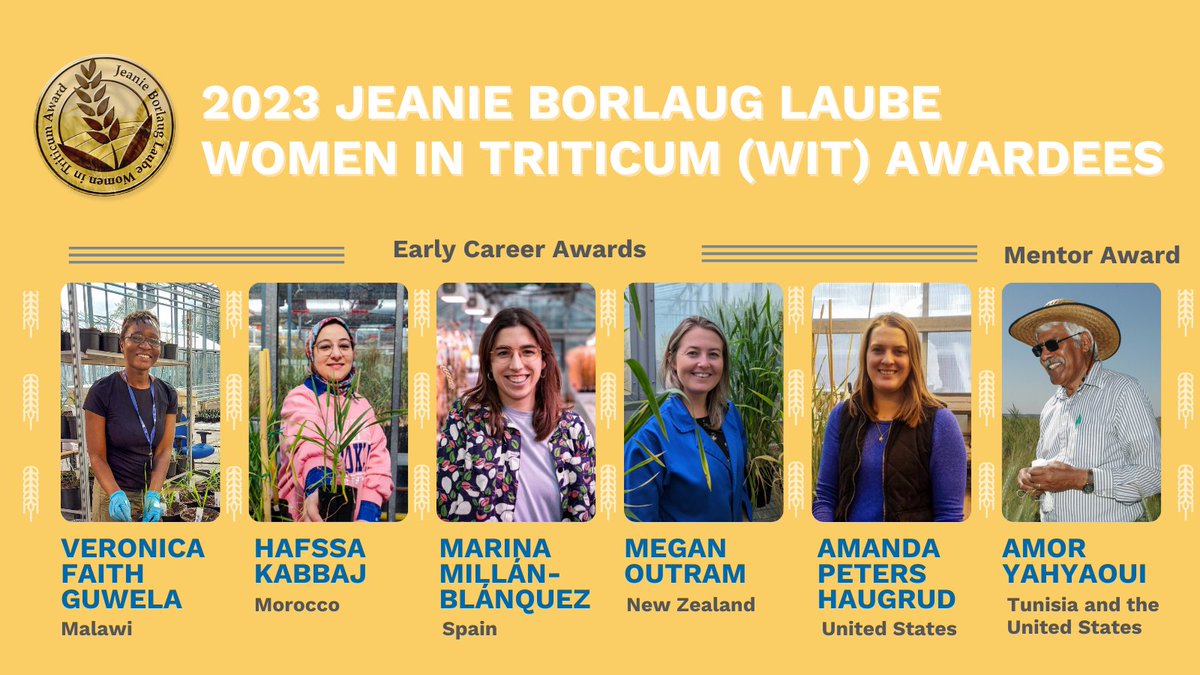 Borlaug Global Rust Initiative tweet media