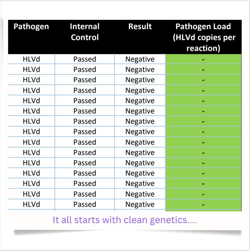 SourFlowerMI's tweet photo. Know your buds inside out! Testing your cannabis genetics for HLVD and diseases is crucial for a healthy and thriving harvest. Don't leave it to chance, get informed and grow with confidence. 🌱🔬 #cannabisgenetics #healthyliving #growwithknowledge #CannabisCommunity https://t.co/1wg3T5VITM