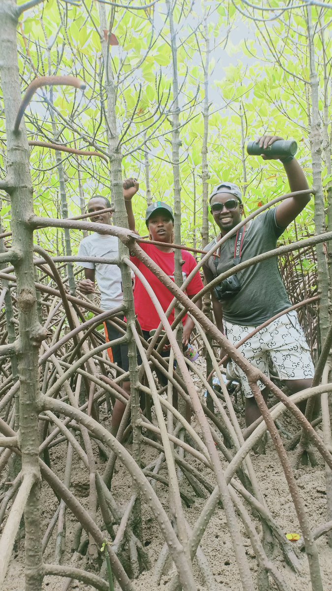 KenLuther_'s tweet photo. Their #mentorship program and #community service learning are creating opportunities for the community, and their #AdoptaSite initiative is restoring degraded land. A true leader in #sustainabledevelopment
#InternationalDayofForest
#conservation #biodiversity #marinedevelopment https://t.co/1G1Z0Pqgve