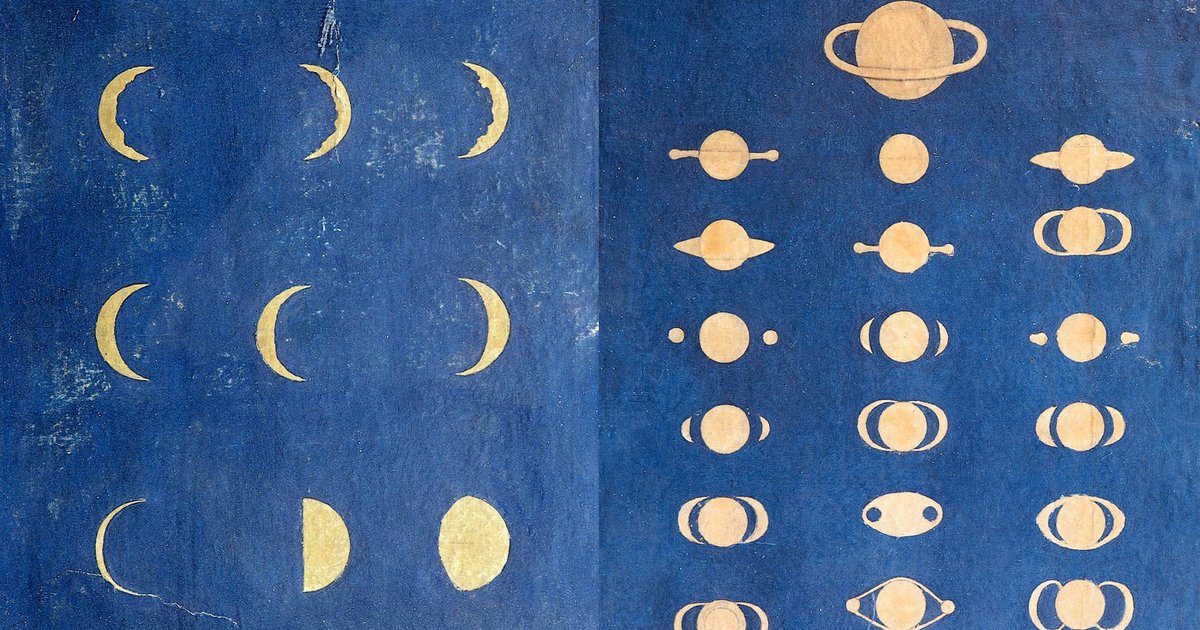 Maria Popova tweet media