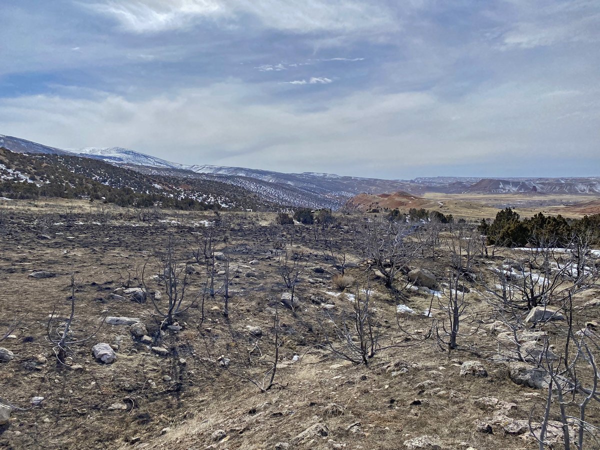 BLMWyoming (@blmwyoming) on Twitter photo It's hard to believe, with snow still blanketing much of the state, but BLM firefighters and our firefighting partners have already contained two wildfires in northern Wyoming. It’s never too early to #RecreateResponsibly and know how to #PreventWildfires. #FireYear2023 <a href="/BLMFire/">Bureau of Land Management Fire</a> It's hard to believe, with snow still blanketing much of the state, but BLM firefighters and our firefighting partners have already contained two wildfires in northern Wyoming. It’s never too early to #RecreateResponsibly and know how to #PreventWildfires. #FireYear2023 <a href="/BLMFire/">Bureau of Land Management Fire</a>