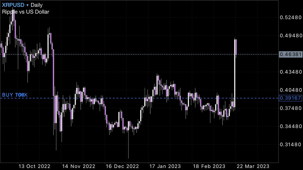 フラミンゴ tweet media