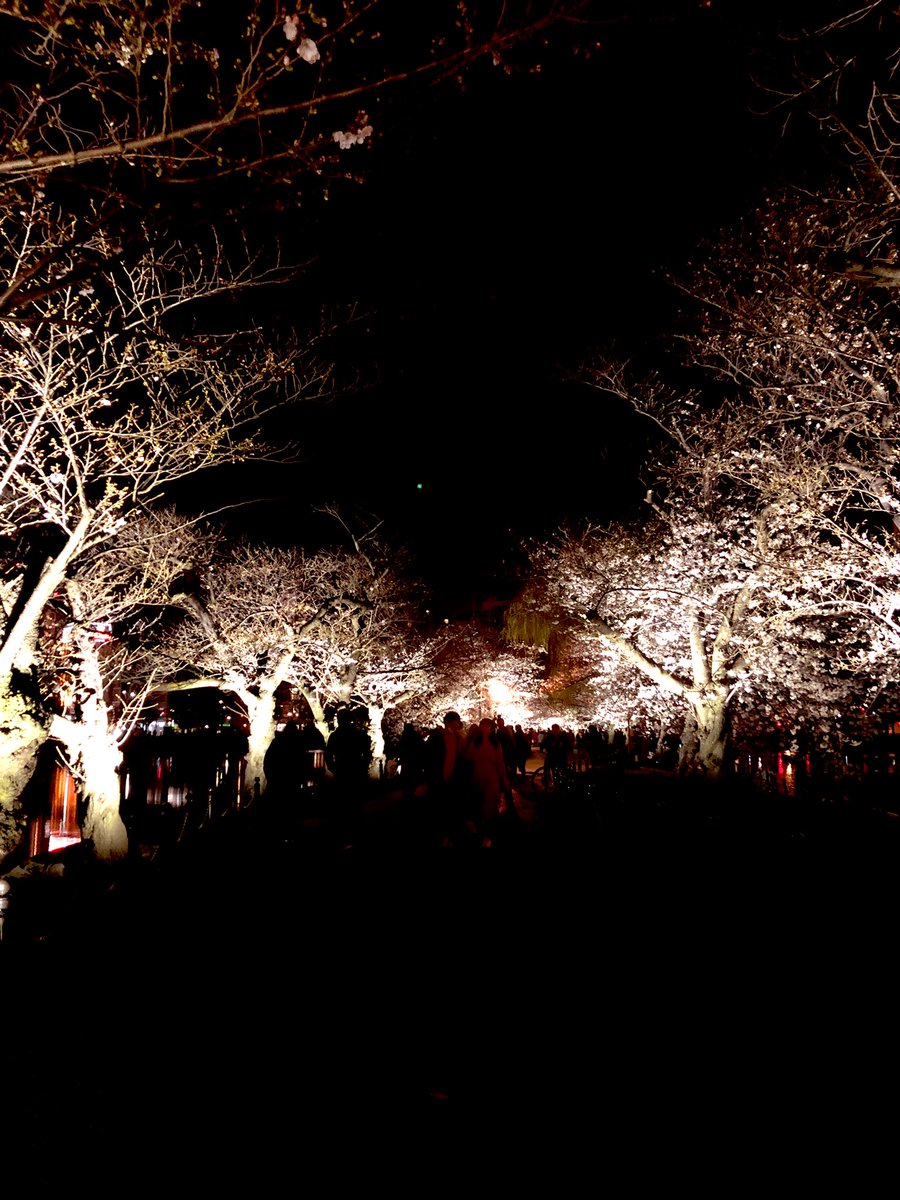 どこいってもキャラがここに来たらどんな会話するかなーって考えてるw https://t.co/VSmXXLLO02