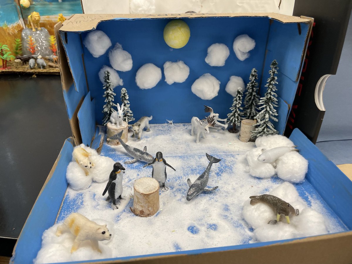 Take a 👀 at these awesome Ecosystems in a box! 🦔🐿️🦊🐨 I’m so blown away by my student’s creativity and demonstrating content knowledge of living and non-living components within an ecosystem. 🏜️🏞️