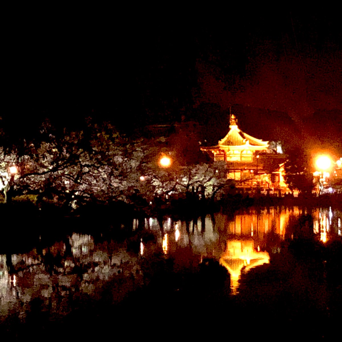昨日のお花見はほんとよかったーまたがんばろーって思えた✨✨
上野公園が桜の名所なのしぬほどわかった🌸🌸
リアルとの両立で悩みながら四ヶ月過ごせたって凄いことだよな〜小さな自信になったよ🥰 https://t.co/BjqGAeG99v