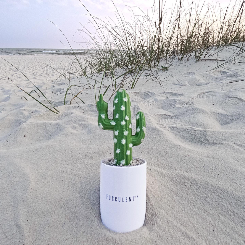 The FUCCULENT has #springbreak on the mind 😎

But then it remembered … it has a job… and doesn’t get a spring break… #fucc

.
#fuccit #fucculent #fakeplants #artificialplants #homedecor #homedecorating #giftideas #giftsforher #giftsforhim #giftsforhome #interiordecor
