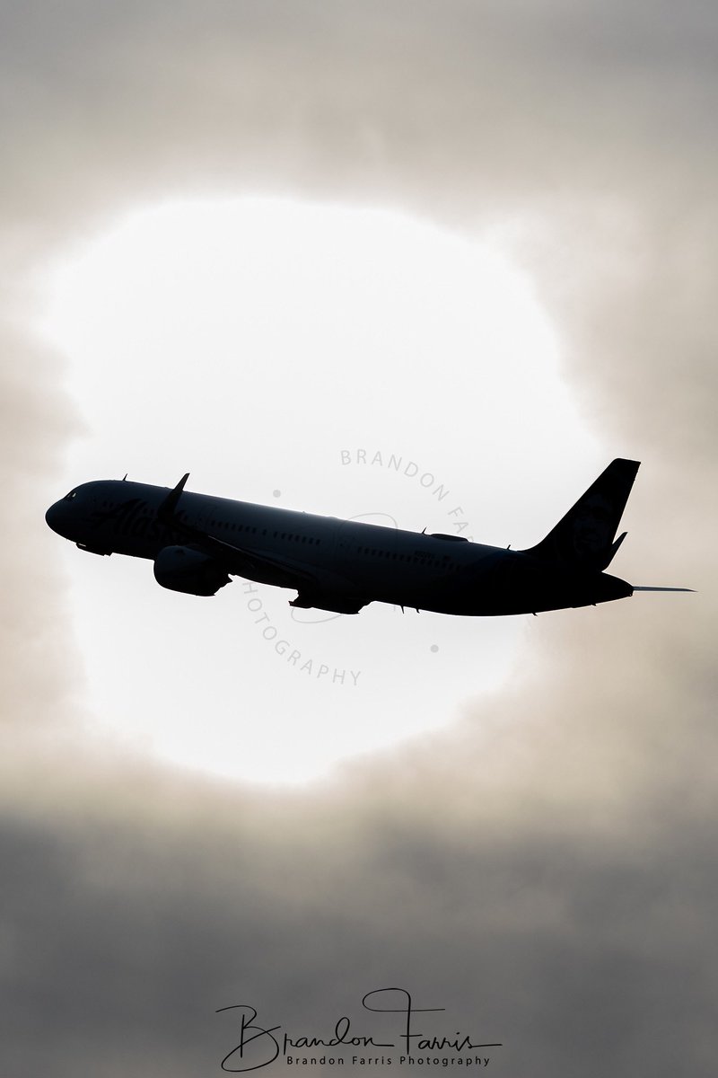 BDFphotography's tweet photo. Happy @Airbus @AirbusInTheUS #A321 day y’all! The best narrowbody available on the market right now! We have a few #VXforever and @AlaskaAir A321’s from @flySEA and @flyLAXairport. https://t.co/einQlK9Xcq