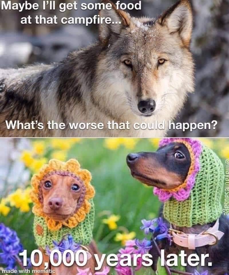 <a href="/todayyearsoldig/">Today Years Old</a>