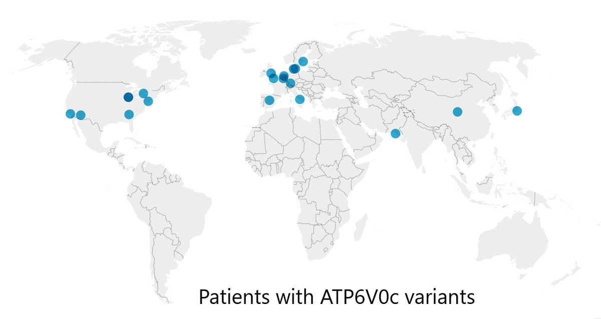 richmrc4's tweet photo. 📢We're looking for patients with #ATP6V0C variants and Seizures⚡️everywhere in 🌎 Look at the maps... it's called #GeoEpilepsy !🤓@AledoNeuro #NeuroGenetics @IonSynapse #RareDisease Help Us! 🌈 Still many more cities to🔎 @CureEpilepsy https://t.co/LAd9mykYQn