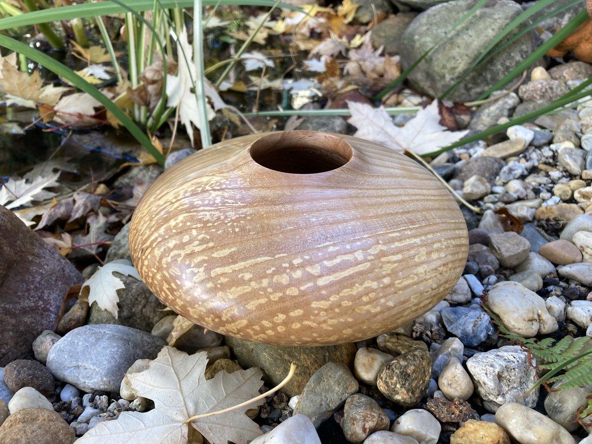 BergwerkD's tweet photo. vessel made of oak wood with a linseed oil finish, a really nice spalted grain

diameter: 6,6 inch
high: 2,7 inch

#wood #woodworking #woodwork #woodworker #woodart  #woodlathework #woodlatheworker  #holz #holzdesign  #drechseln #drechsler #hamburg #germany https://t.co/CYC4oTcbq2