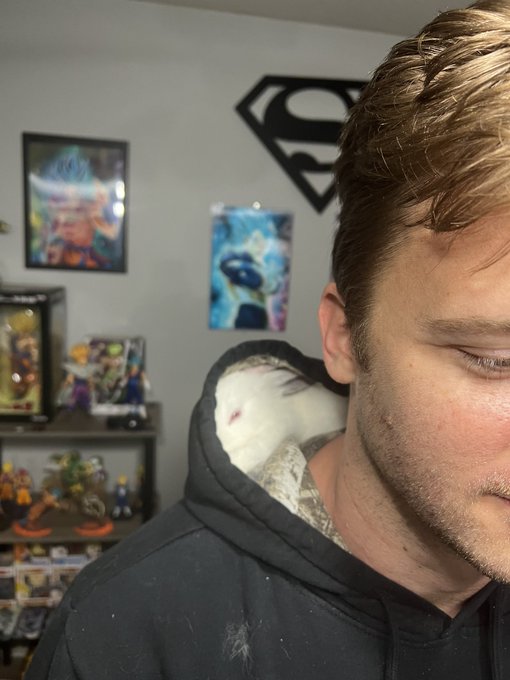 Show me how you spend your rainy days 🌧 🐰 🤪 https://t.co/NL6H3adDRX