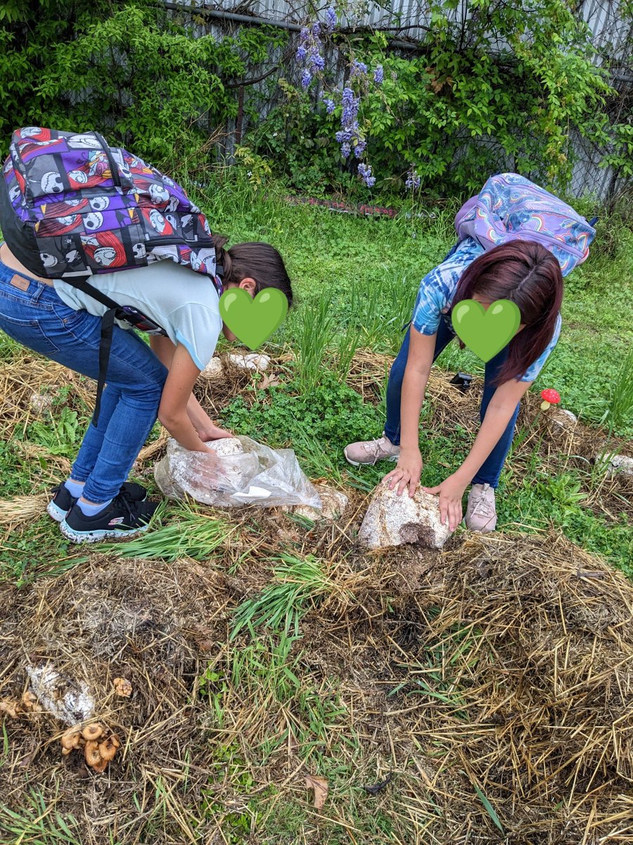 Jessica Wilson tweet media