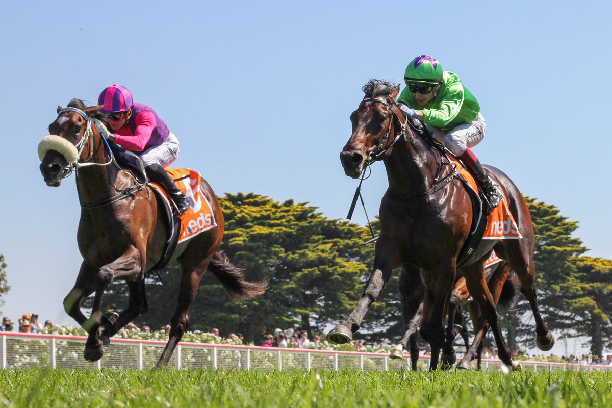 nzracingnews's tweet photo. NEWS: @HowleyRacing has kiwi-bred 3yo #VirtuousCircle ready for his Gr.1 Australian Cup tilt at Flemington on Saturday.
https://t.co/L57sm9rQcu https://t.co/koP75tTWDI
