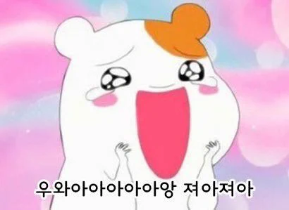 로하핏스튜디오 이미지