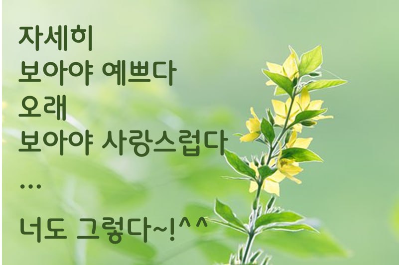 김미정 (@somangsomang_1) on Twitter photo 