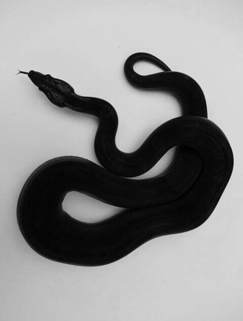 archillect's tweet photo. https://t.co/UH8Mm61QVy