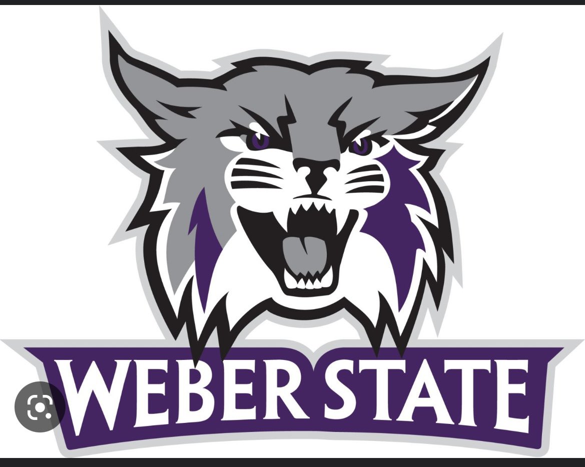 Sam McCormick tweet media