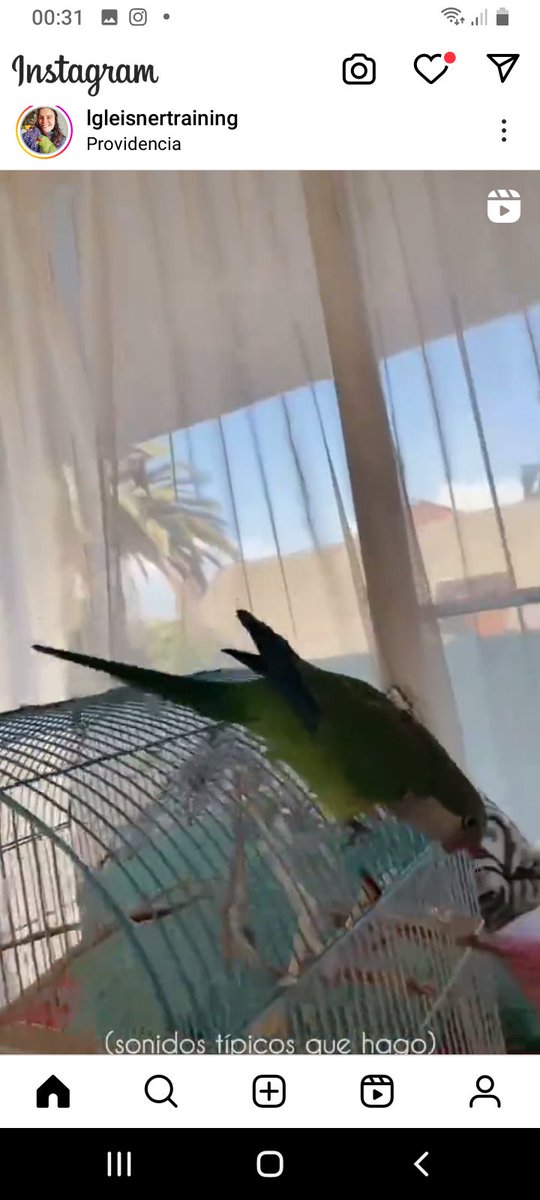 Katherin8782818's tweet photo. #SePerdio #Kevin si alguien lo ve,en las fotos estan los datos para comunicarse,se volo del susto por el temblor https://t.co/mL5fU6ZgO9