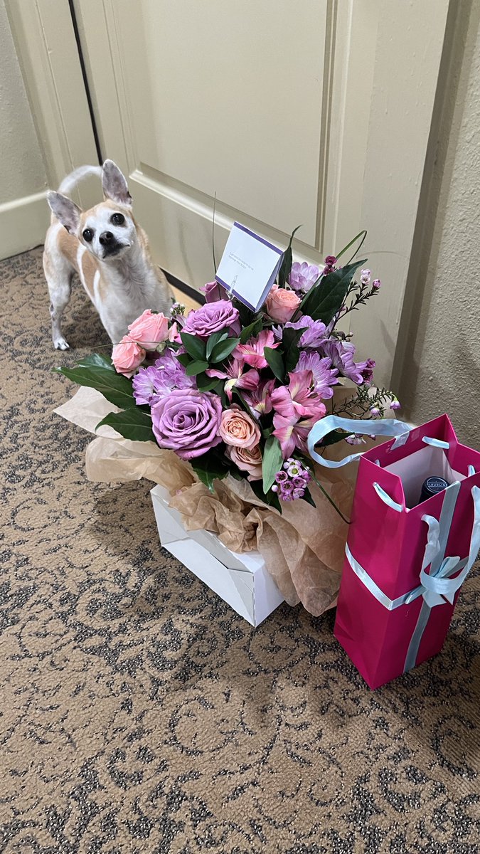 KellyAnneTV's tweet photo. Pippa and I are humbled by the love💗 Thanks to my amazing colleagues for making tonight one for the books. https://t.co/hQ0C5FkNJD