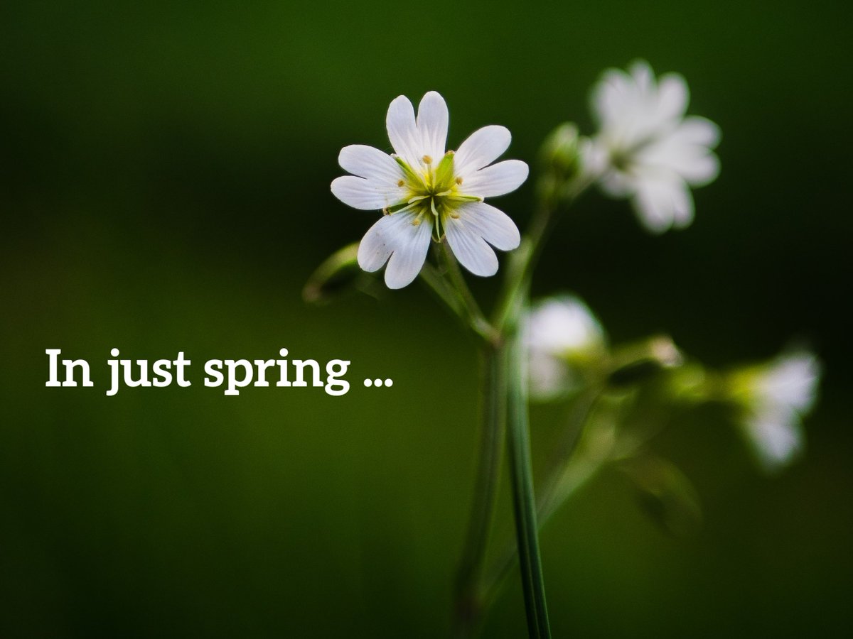 SixPersimmonsAp's tweet photo. Health Tips for spring: Massage, Acupuncture, Detox and Awakening! https://t.co/8rgd9OwH9c https://t.co/QHcghe3FNA