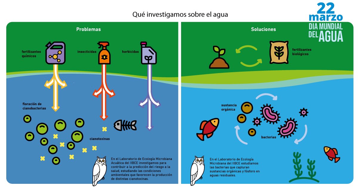 Hoy es 22 de marzo, el #DíaMundialDelAgua. 
Desde el #IIBCE investigamos el agua para mejorar el acceso de toda la ciudadanía al agua potable, y para preservarla como un bien común fundamental, que caracteriza a nuestro planeta y es la base de la vida en la Tierra. ✨🪷 🪡🧵1/