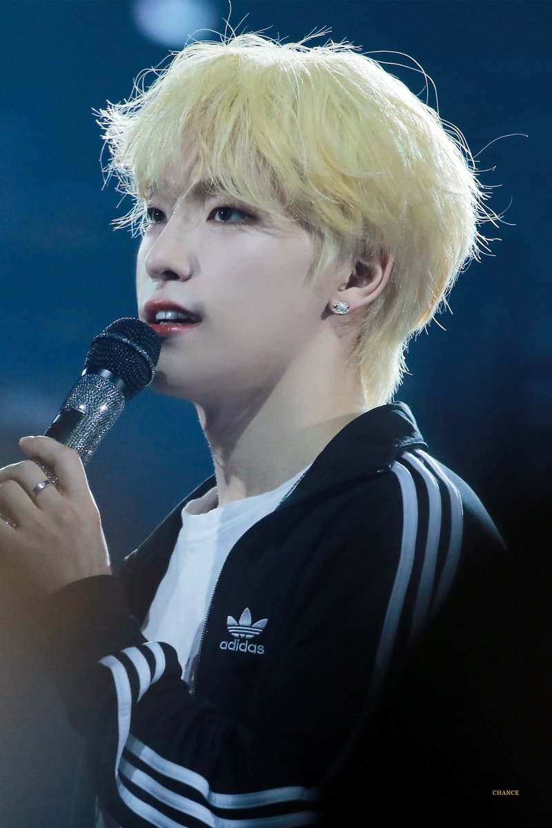230310 복슬 강아지

#세븐틴 #SEVENTEEN #디노 #DINO