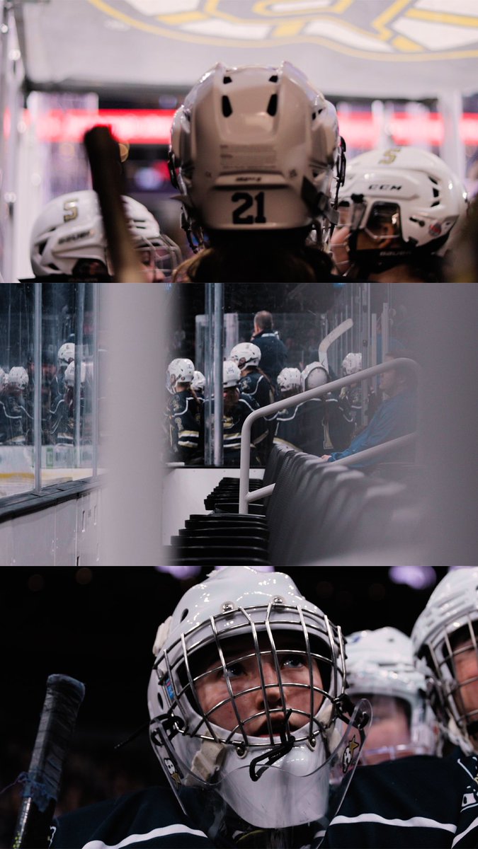 JacksonPVisuals's tweet image. 