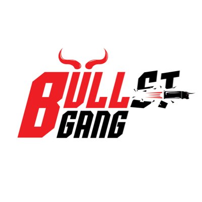 🔥Bullet Gang’s official new logo is here🔥
#NFT #Solana #Dao