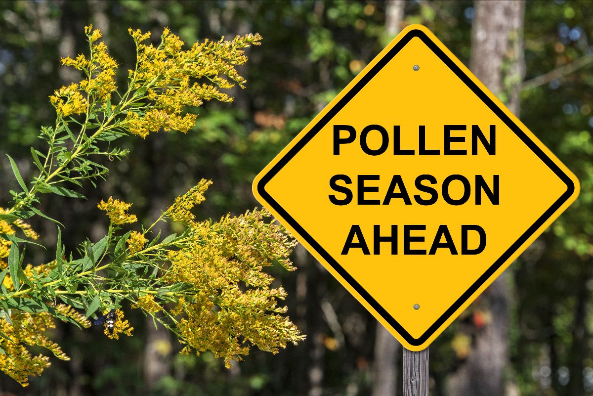 bioteklabs's tweet photo. Allergy season is near, where do your patients find relief? - https://t.co/Ehb7UALn71  #allergies
#allergytesting
#allergytreatment
#immunotherapy
#ancillaryservices https://t.co/kD0zSrtRqw
