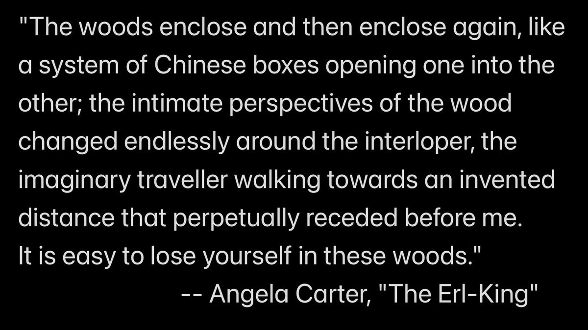 leksikality's tweet photo. Quite possibly one of the best paragraphs ever written. https://t.co/r1yRbYK2Cx