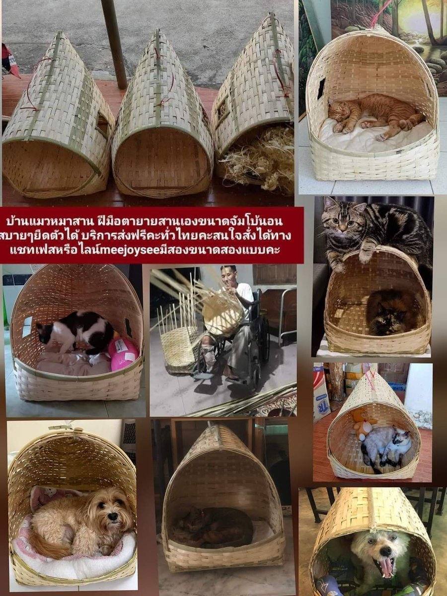 บ้านแมวสานมือฝีมือตายายสานงานภูมิปัญญาชาวบ้าน🐱 tweet media