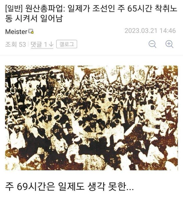 부엉이의지혜 tweet media