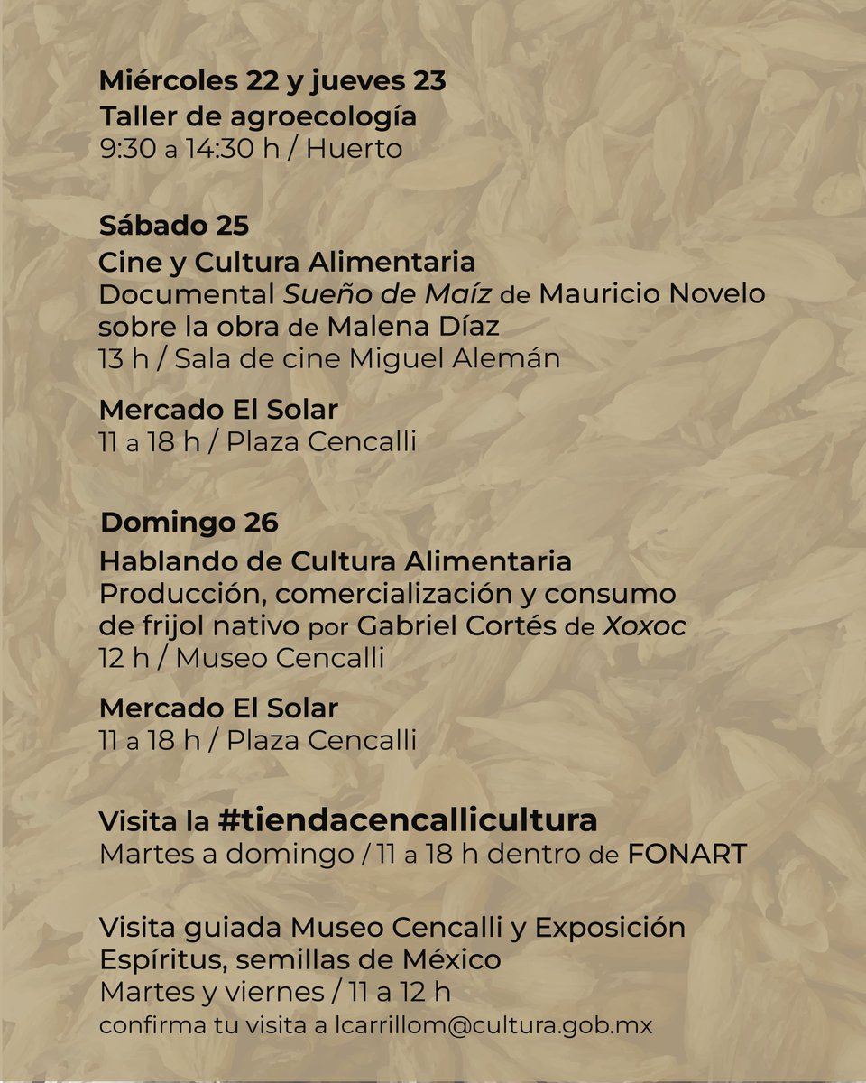 CencalliCultura's tweet photo. ¿Sabes todo lo que puedes encontrar en Cencalli esta semana?
🌽 ¡Te esperamos! 🥑
@culturamx @cc_lospinos @gobmexico
#tiendacencallicultura #agroecologia
#culturaalimentaria #comidaviva #milpalibre #alimentosoriginarios #nuestrasculturasviven https://t.co/idP0y0fZtq