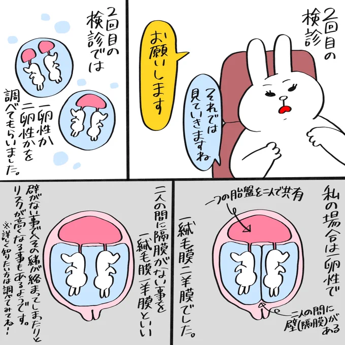 アネティの双子妊娠出産体験記③
「2回目の検診」

※プクティ姉の話になります。

#育児漫画 #育児絵日記 