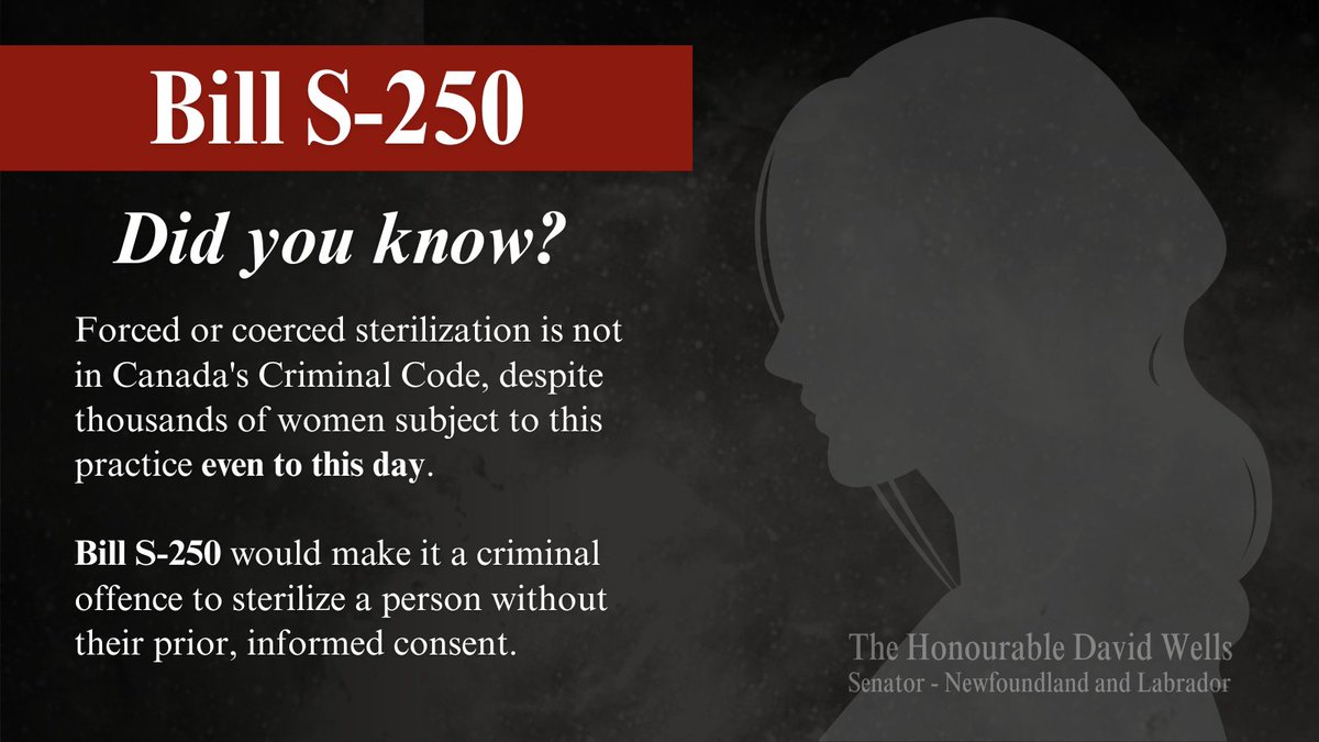 WellsDavid's tweet image. I will speak Thursday on Bill #S250 at second reading in the @SenateCA. I am proud to work with @SenatorBoyer on this crucial legislation that will criminalize forced &amp;amp; coerced sterilization in Canada. Tune in at: rb.gy/wcpcpn #forcedsterilization #cdnpoli #nlpoli