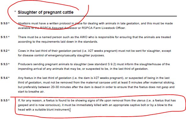 Policy on the slaughter of pregnant cattle 😪

#NationalAgricultureDay
#AgricultureDay #NationalAgDay #AgDay