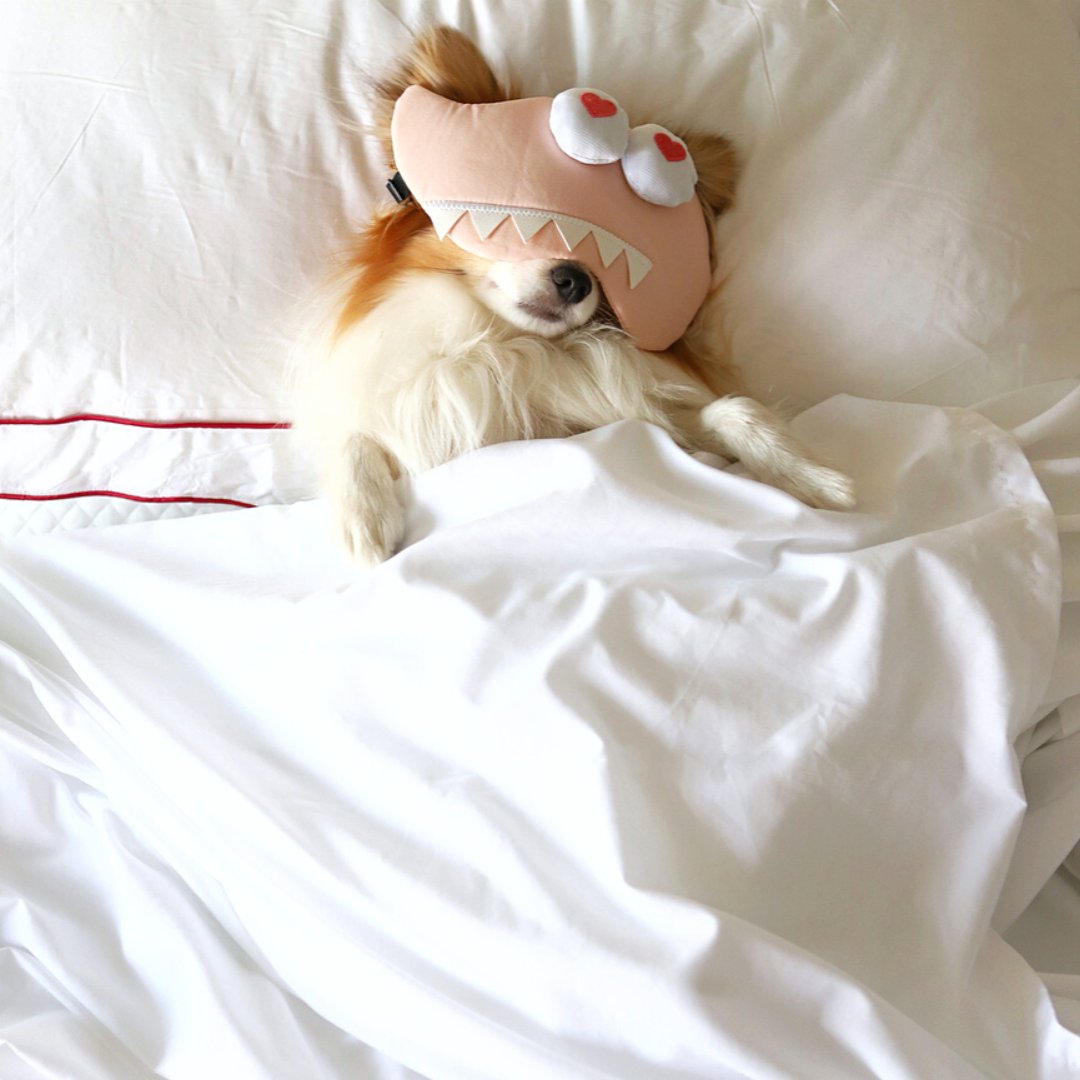 How you'll sleep knowing you now have 365 nights to try your Douglas...😴

Take one whole year to make a decision! 🛏️🎉 With our 365-night risk-free sleep trial, you can try a Douglas at home, at your own pace, and with zero pressure.

Shop Douglas now at douglas.ca!