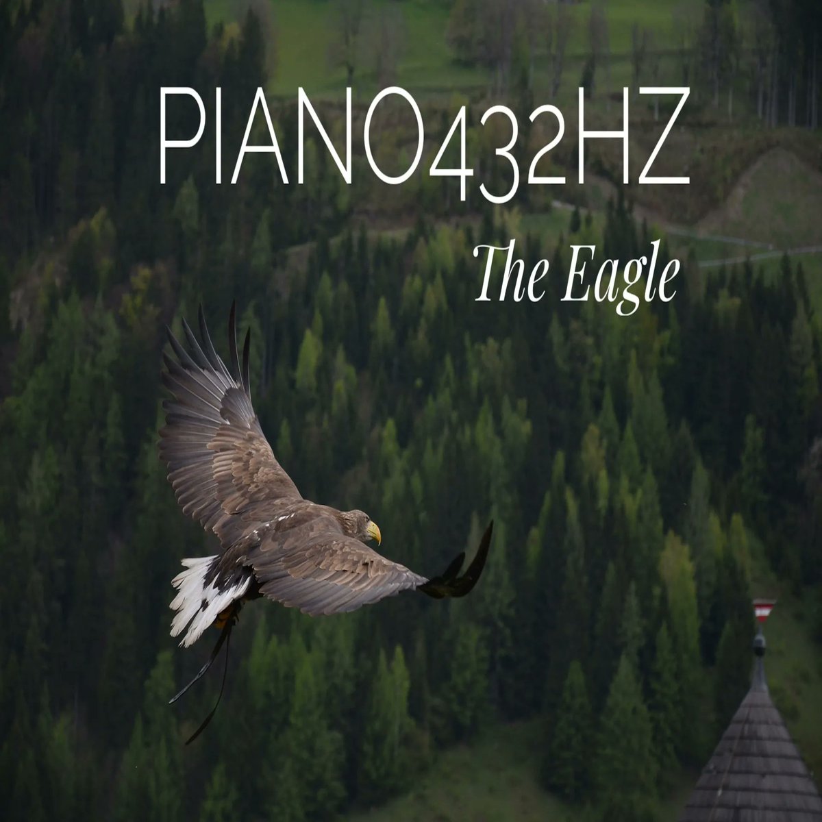 buff.ly/3n0Qn8o 
The 432Hz frequency is not only a harmonic frequency, but also a frequency that is in harmony with nature. Learn how the sounds of the piano at 432Hz can improve your mood and well-being. #piano432hz #naturalfrequency #music #piano