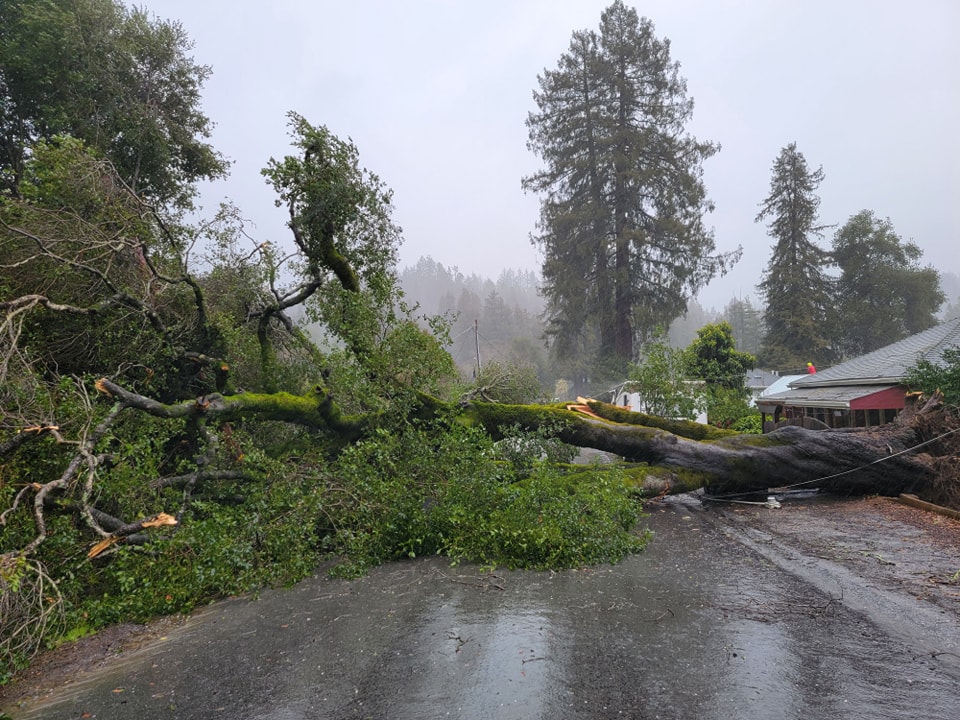 SLVPostNews's tweet photo. Another powerful storm brings heavy rain and whipping winds to the Santa Cruz Mountains with gusts up to 70 mph in higher elevations. Trees and utility poles and wires are down, power is out in many areas. Debris covers roadways and there are numerous closures. https://t.co/jF35ECewAI