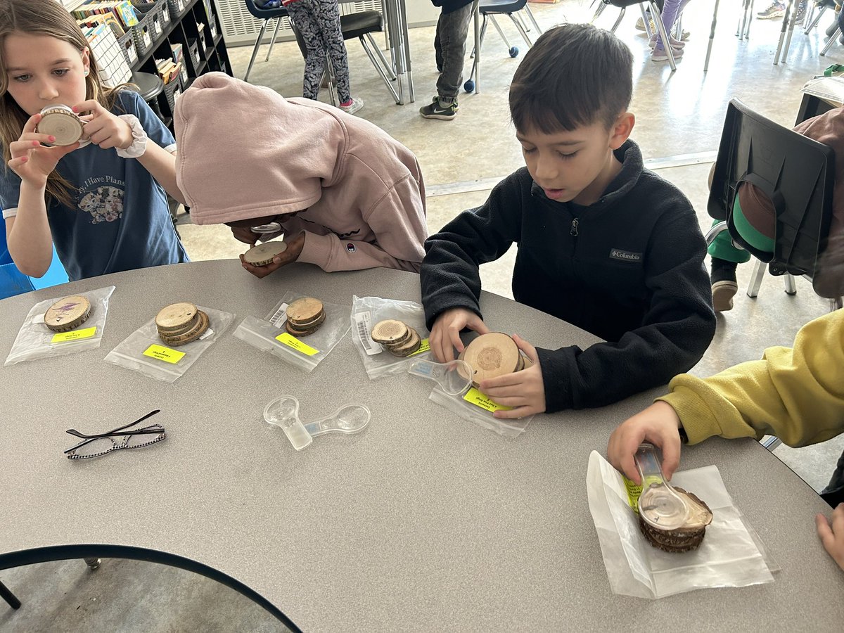 Today we put our investigation glasses on and explored some science centres! These kiddos came up with some pretty neat strategies to count tree rings. 🌳 🌲 🍁 🍂 <a href="/dsbn/">District School Board of Niagara</a> <a href="/FitchSchool/">Fitch Street School</a>
